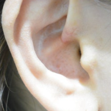 121911_9a6d6c0191.png